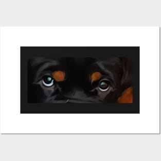 Rottweiler eyes Zero Posters and Art